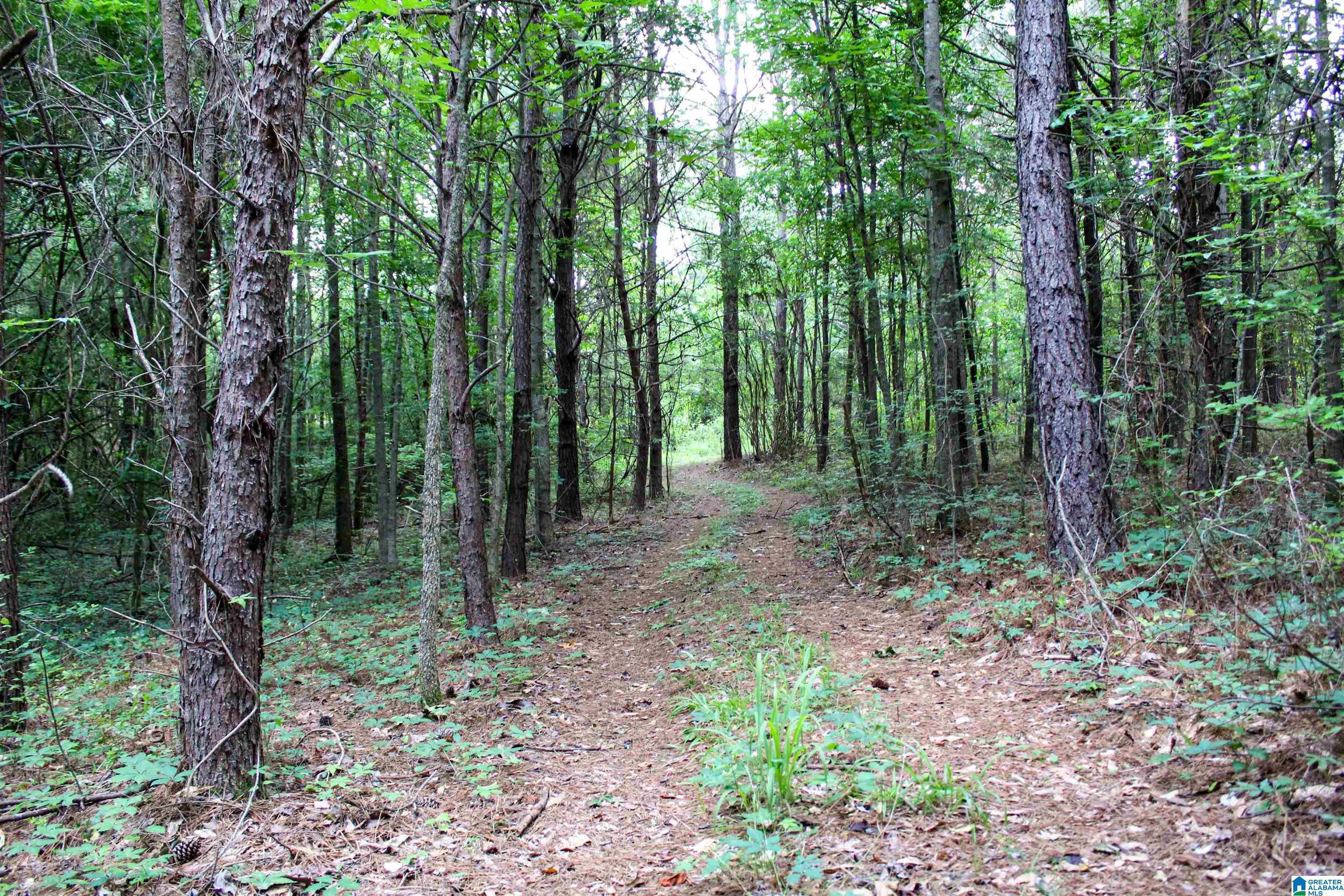 2211 Gurley Road, Unit 1 Trafford, AL 35172 - Photo 23 of 39