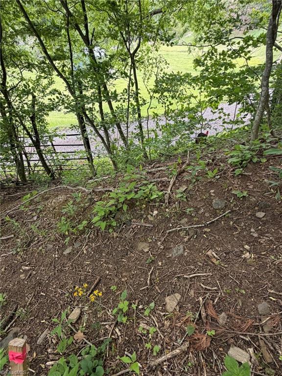 Tbd Ben Bolen Road Creston, NC 28615 - Photo 9 of 22 Gallery Image 9