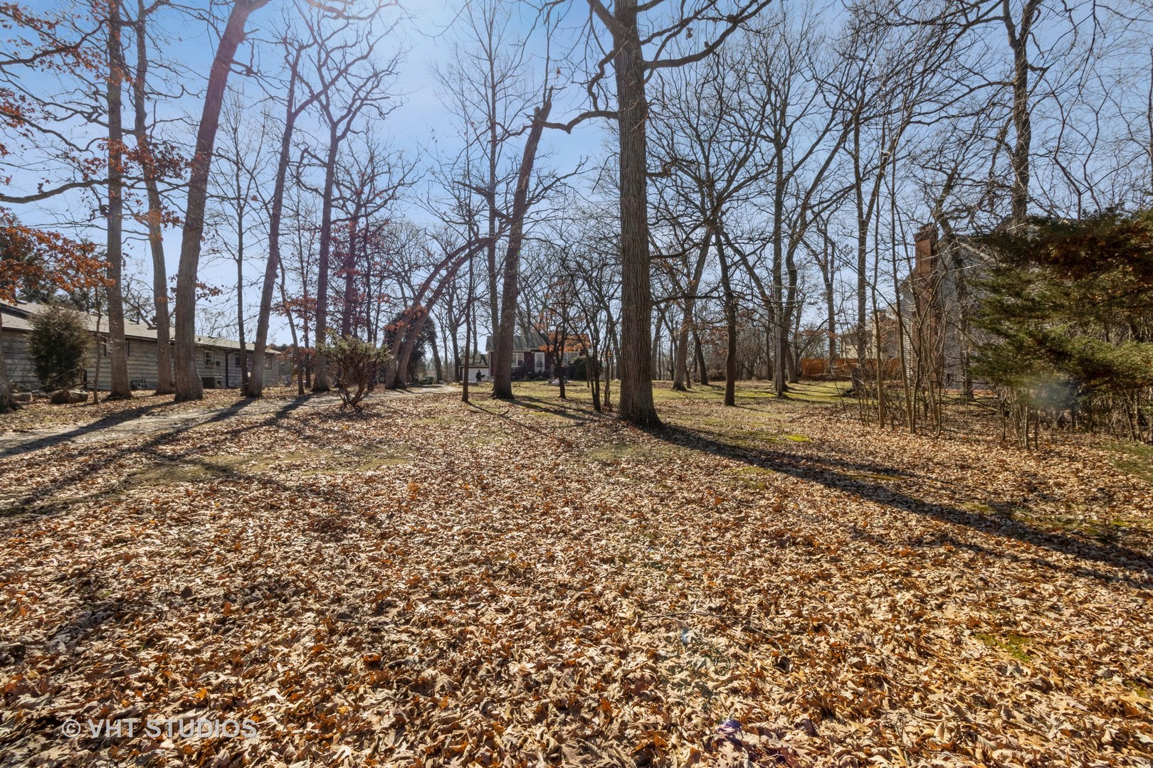 a backyard of a house with trees