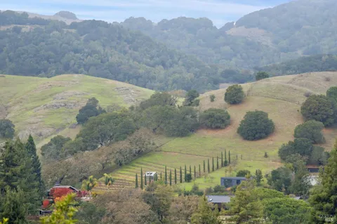 a view of a backyard