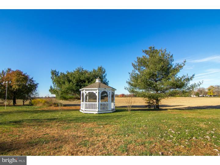 121 New Bridge Road Quinton, NJ 08079 - Photo 24 of 25 Side Yard