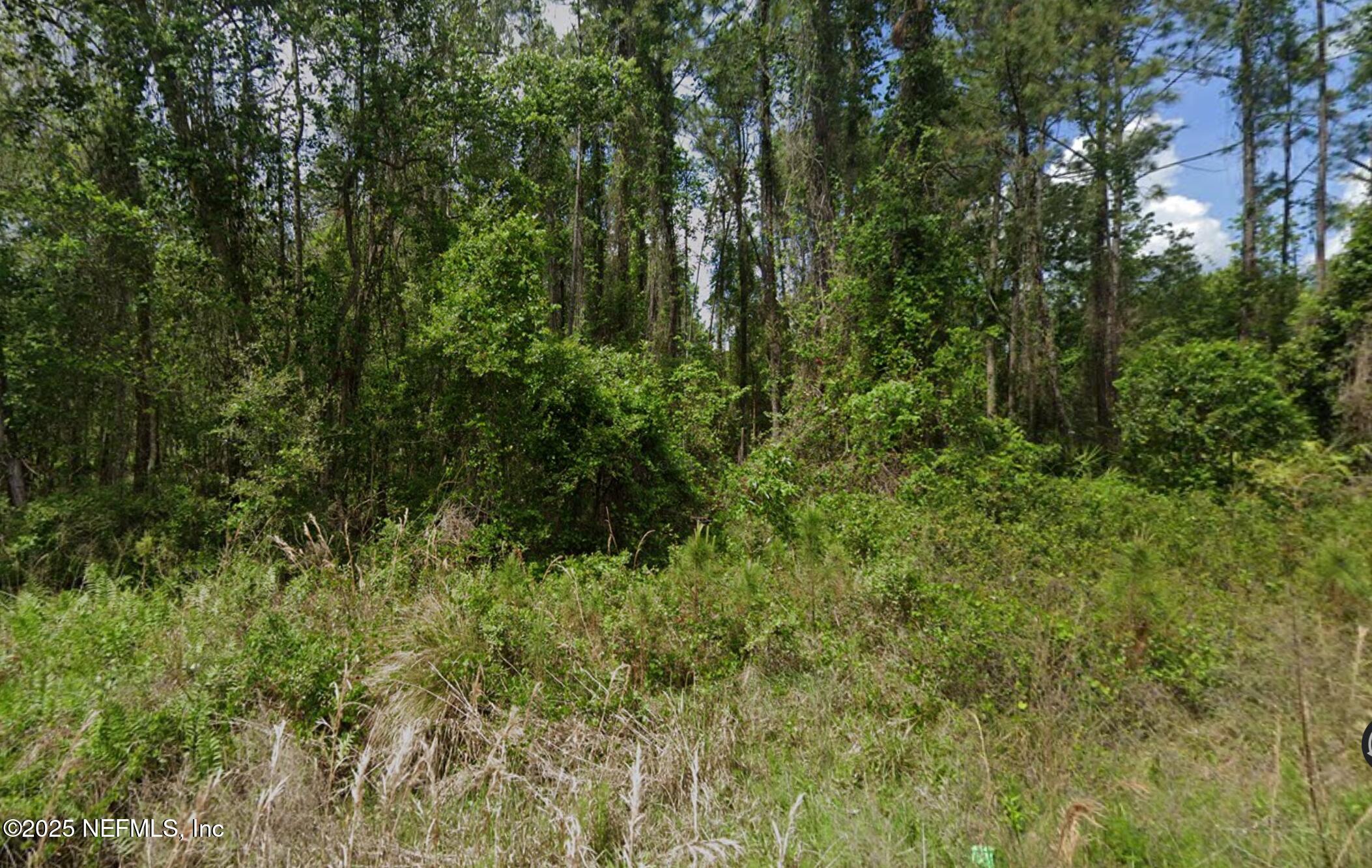 140 Edgemere Drive Georgetown, FL 32139 - Photo 2 of 3 140 Edgemere Dr