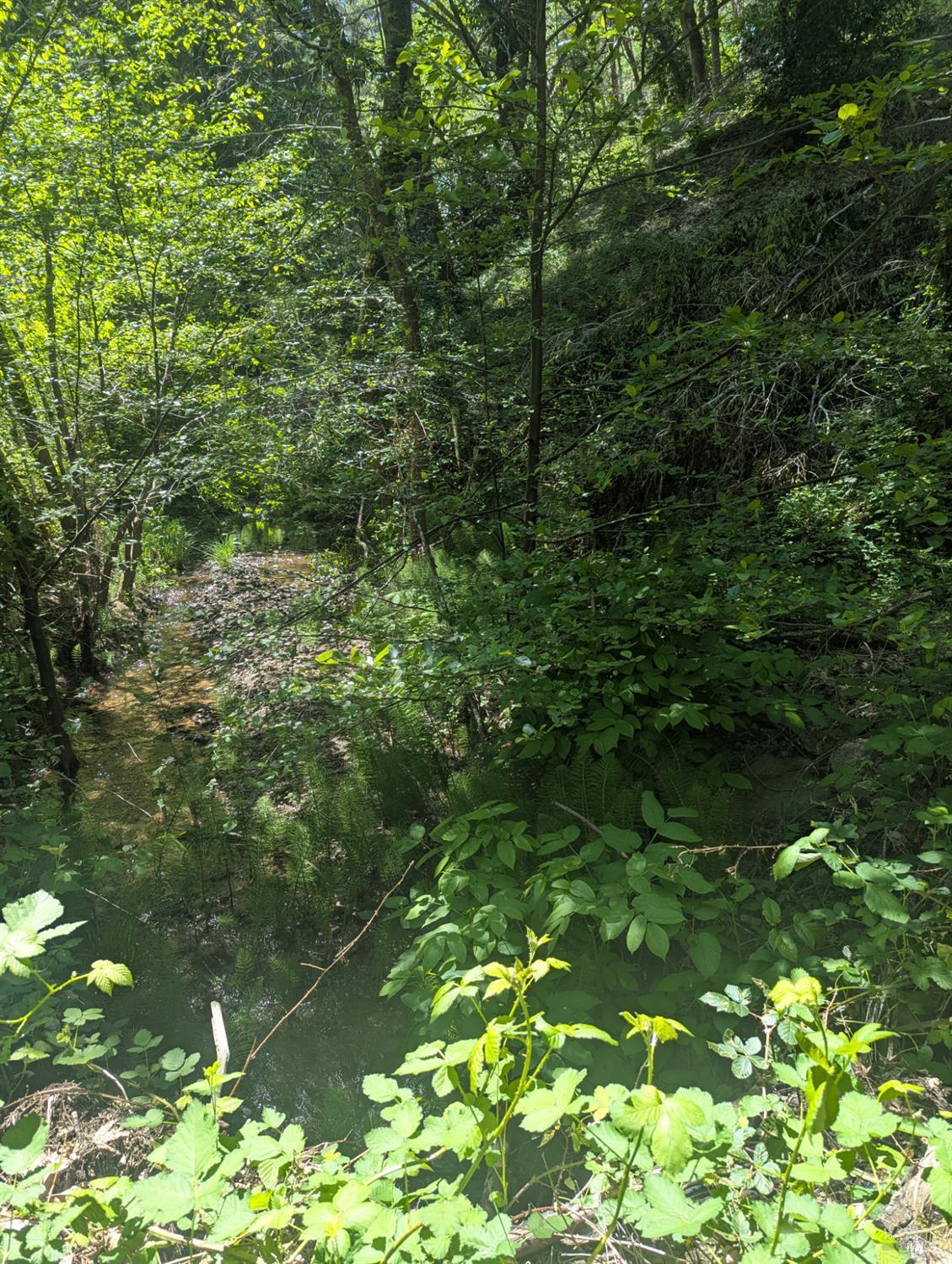 0 Skaggs Springs Road Geyserville, CA 95441 - Photo 21 of 21