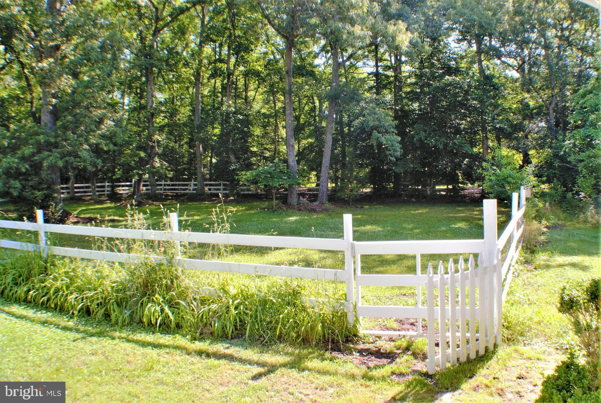 7050 Hawthorne Road La Plata, MD 20646 - Photo 40 of 68 Paddock