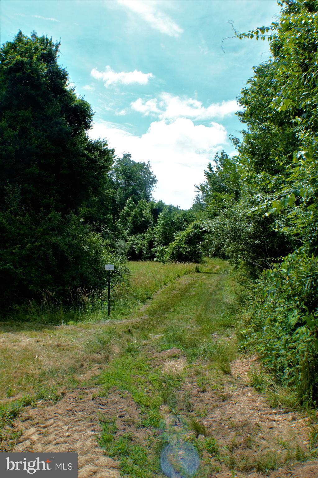 7050 Hawthorne Road La Plata, MD 20646 - Photo 59 of 68 Very nearby Myrtle Grove WMA riding trail