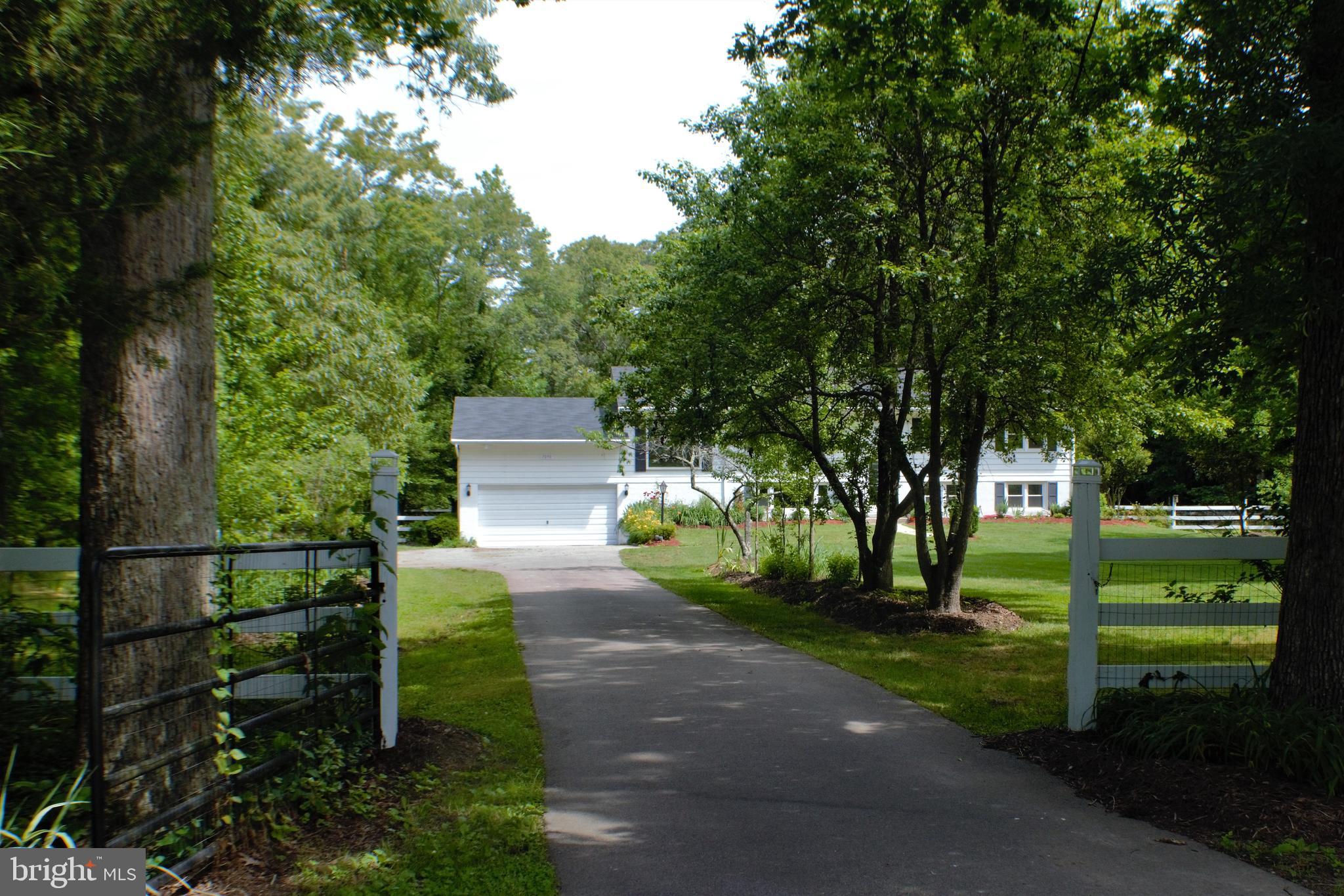 7050 Hawthorne Road La Plata, MD 20646 - Photo 63 of 68 Privacy: trees obscure property from road
