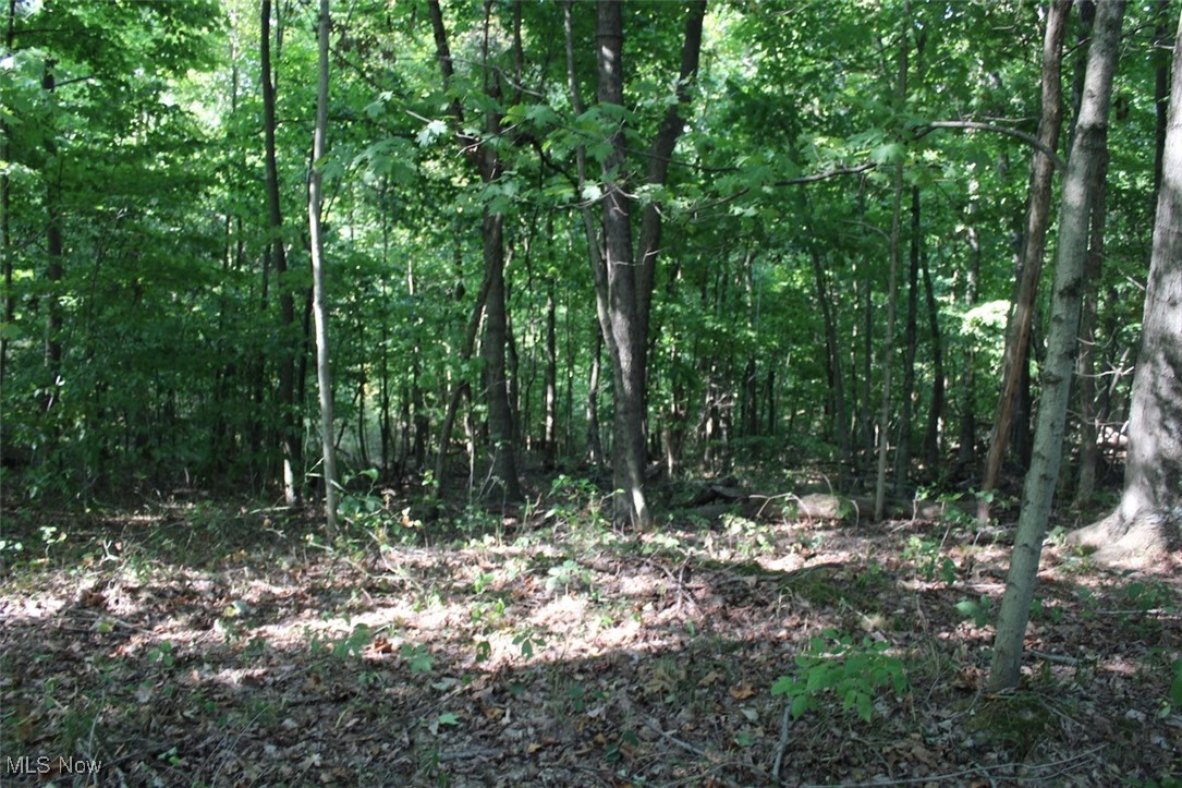 Leffler Road Roseville, OH 43777 - Photo 48 of 49 View of nature