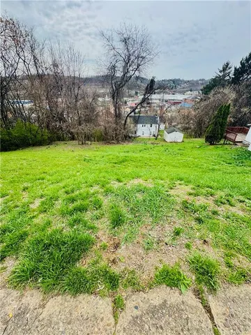 a view of yard with green space