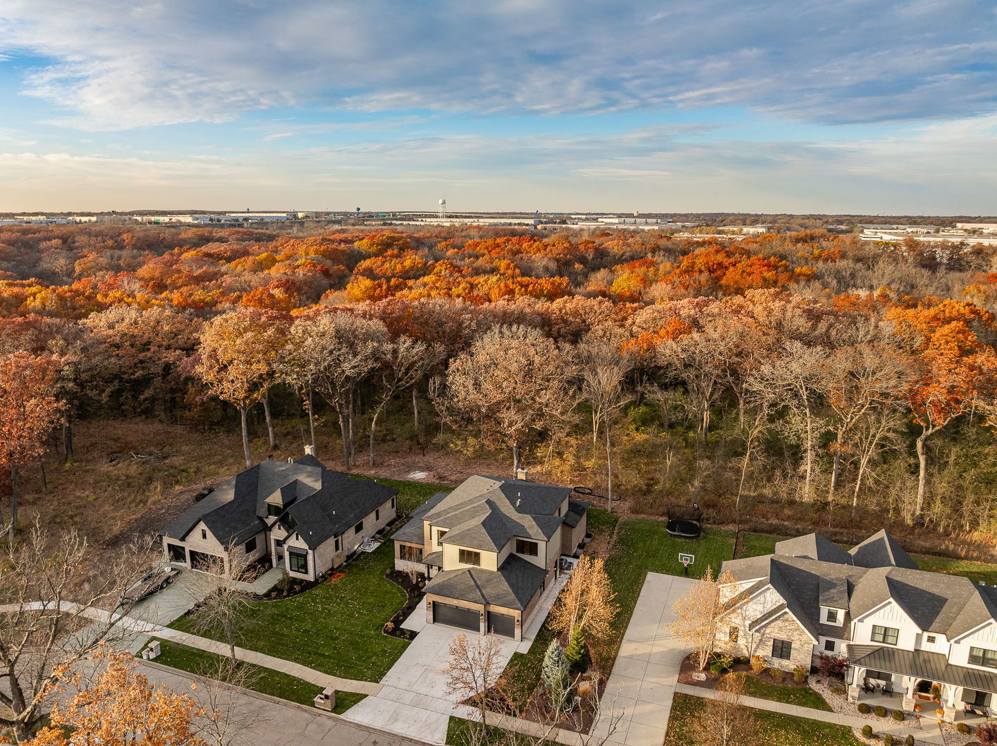 1528 Linden Circle Lemont, IL 60439 - Photo 42 of 54