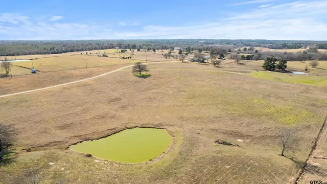 a view of an ocean beach