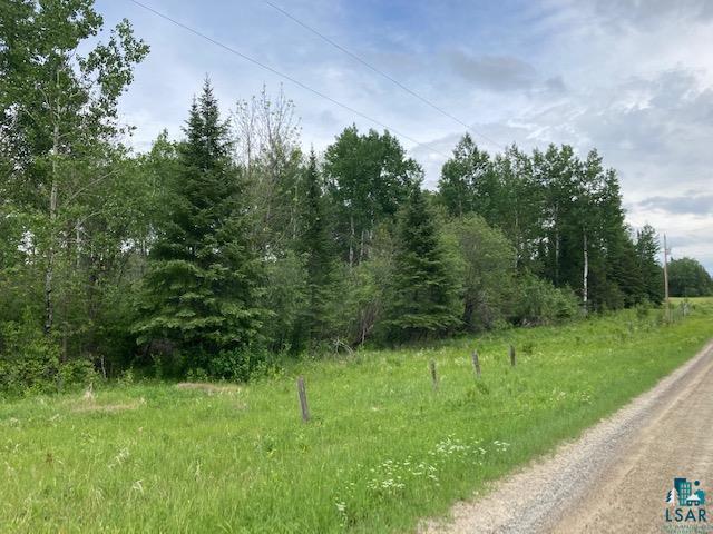 Tbd Goodell Road Angora, MN 55703 - Photo 8 of 14