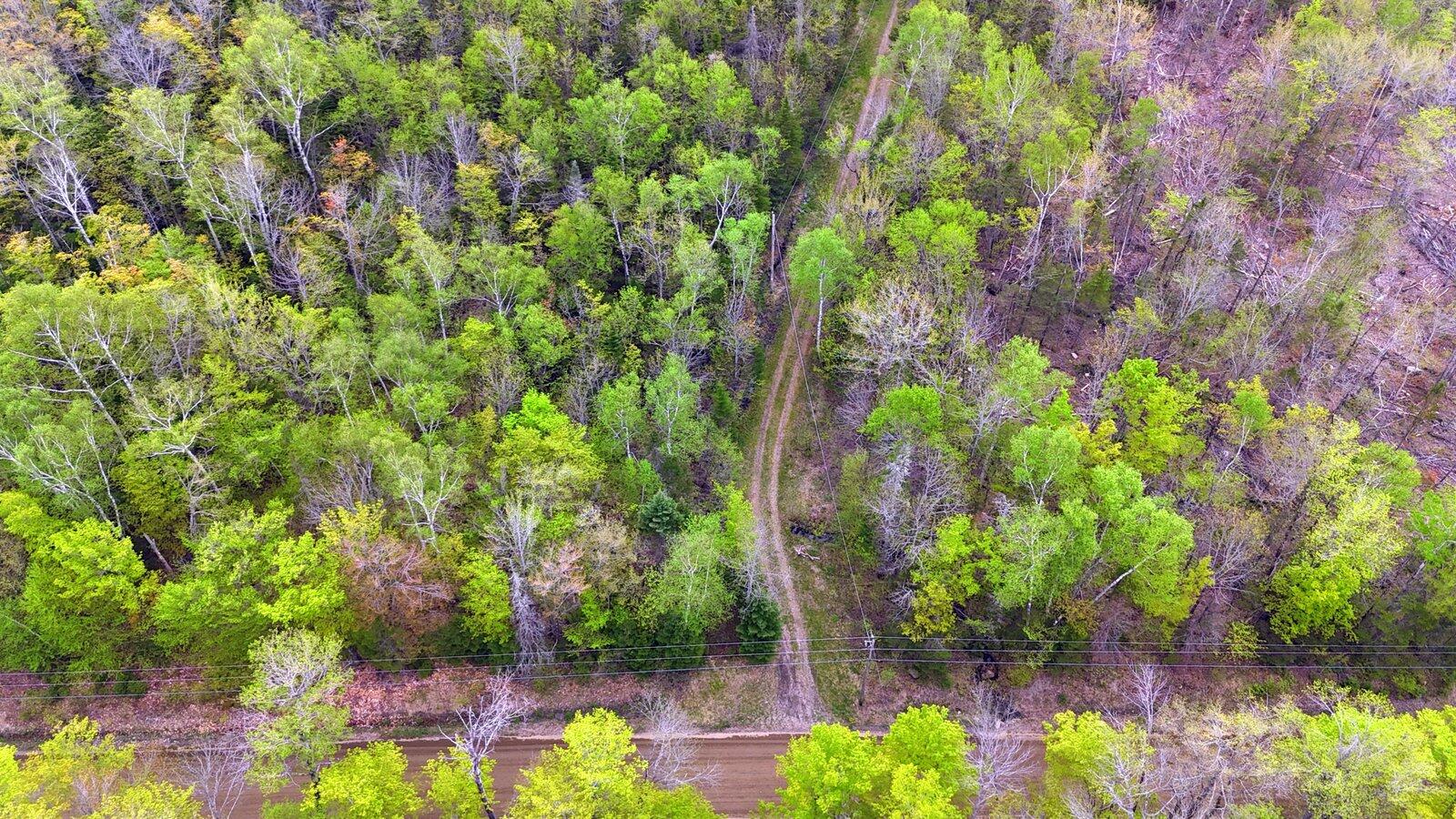 69 Tory Hill Road Phillips, ME 04966 - Photo 22 of 29 22-Driveway