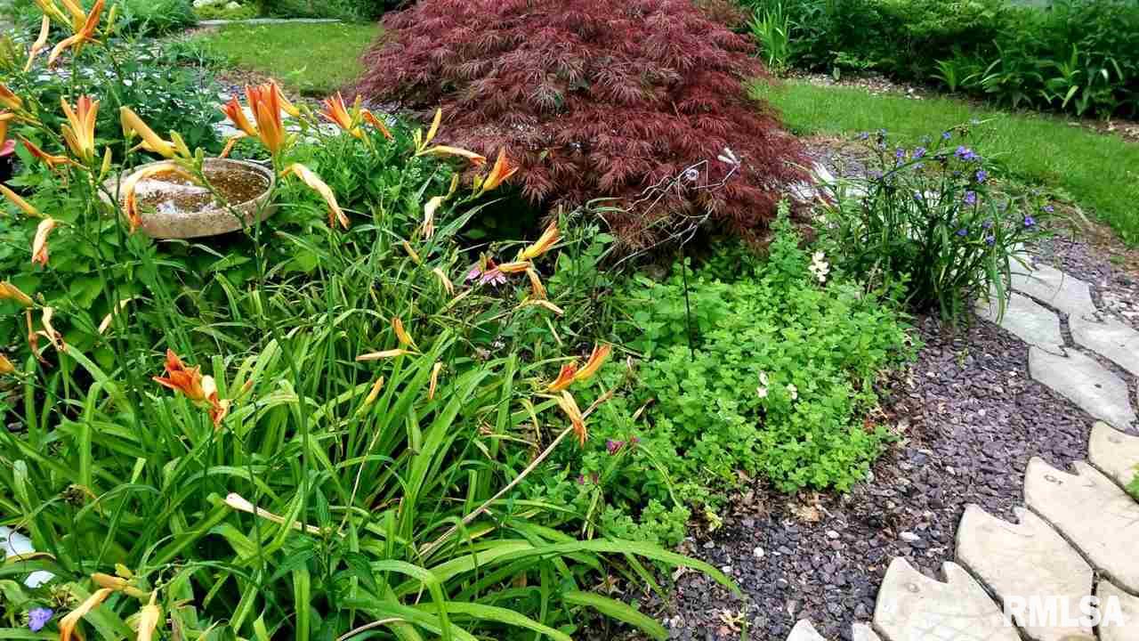 809 South MacArthur Boulevard Springfield, IL 62704 - Photo 29 of 35 Gallery Image 29