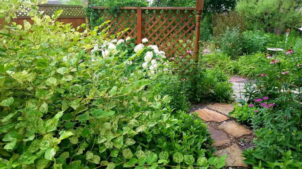 809 South MacArthur Boulevard Springfield, IL 62704 - Photo 30 of 35 Gallery Image 30