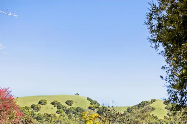 $1,850,000 | 1200 Idylberry Road, San Rafael, CA 94903