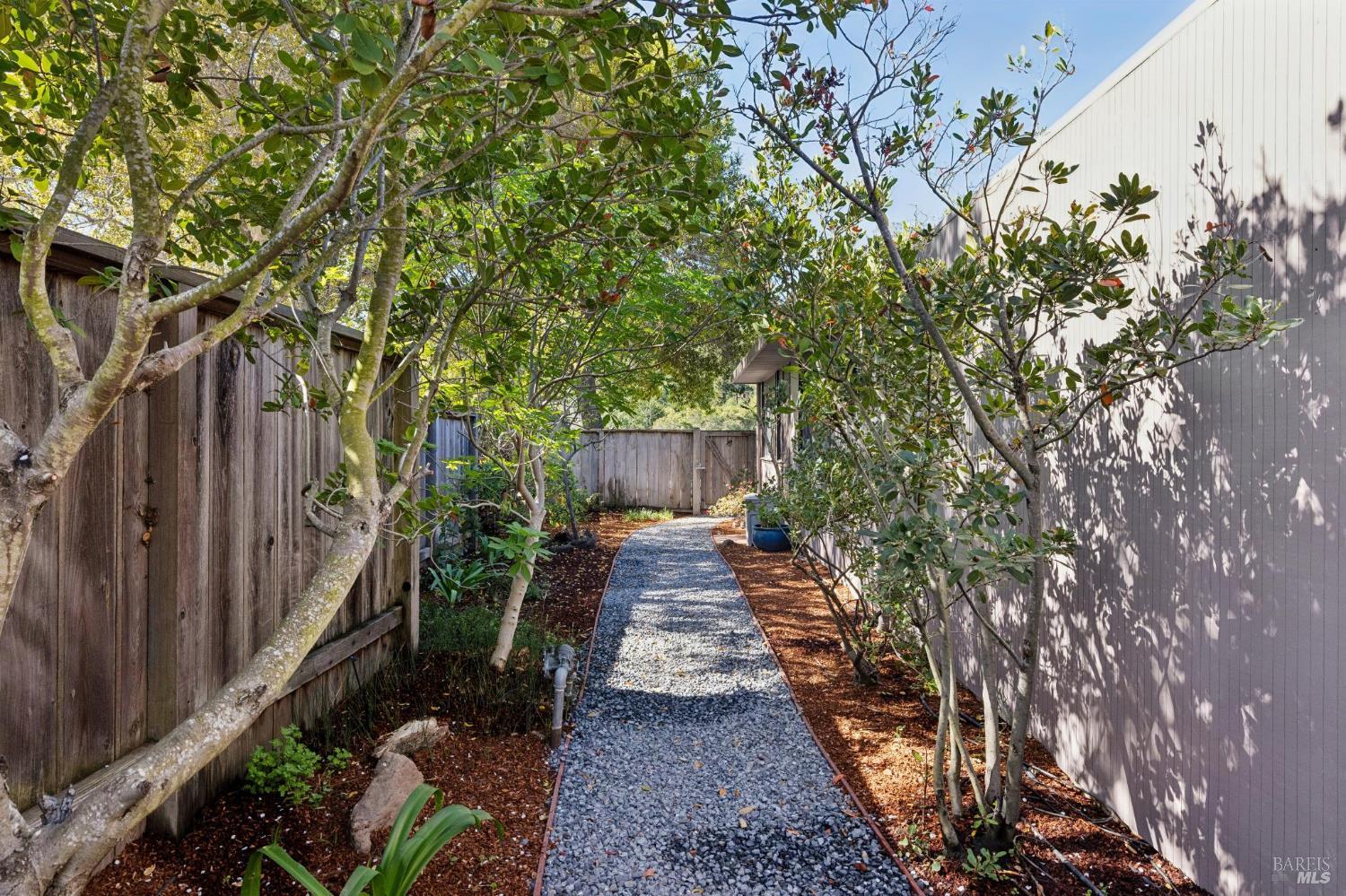 1200 Idylberry Road San Rafael, CA 94903 - Photo 57 of 58 a view of a pathway with a yard