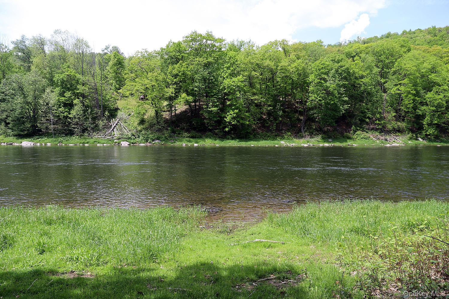 860 River Road Callicoon, NY 12723 - Photo 40 of 45 a view of a lake with a yard
