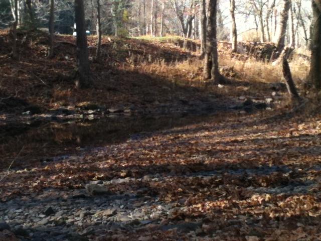 Coffman Hill Road Ronceverte, WV 24970 - Photo 6 of 16 Property