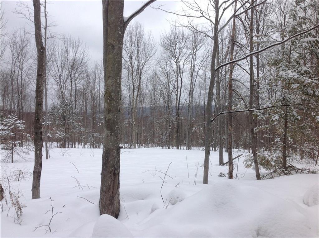 Lot 24 Rollins Ridge Road Dixfield, ME 04224 - Photo 3 of 11 The property is wooded with views...