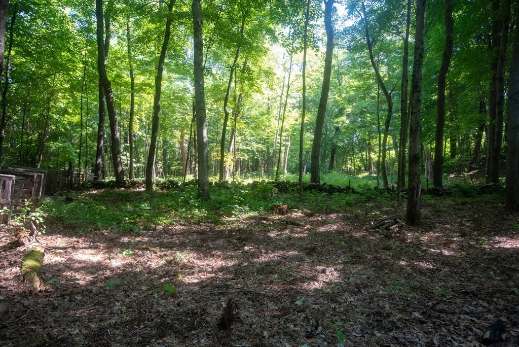 37 Oakham Road Barre, MA 01005 - Photo 36 of 39