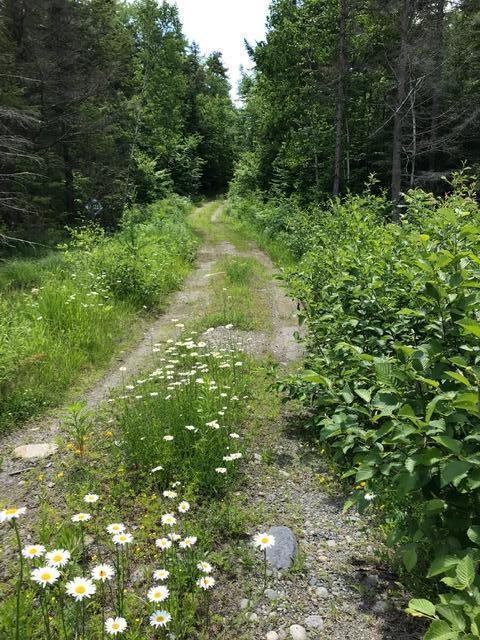 776 Bog Road New Portland, ME 04961 - Photo 3 of 7 IMG_3097