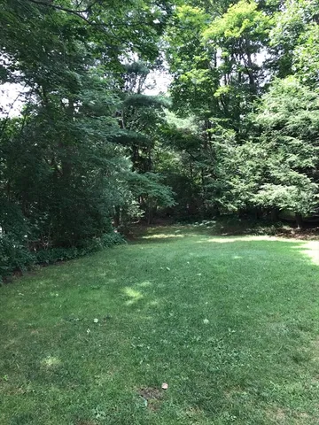 a view of yard with green space