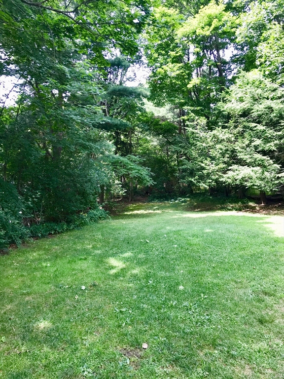 138 R Weston Road, Unit 138R Wellesley, MA 02482 - Photo 12 of 16 a view of yard with green space
