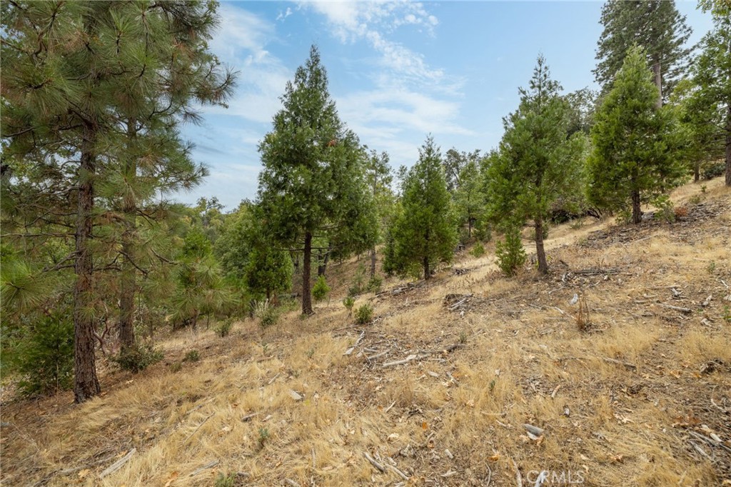 26 Timberview Road North Fork, CA 93643 - Photo 53 of 60