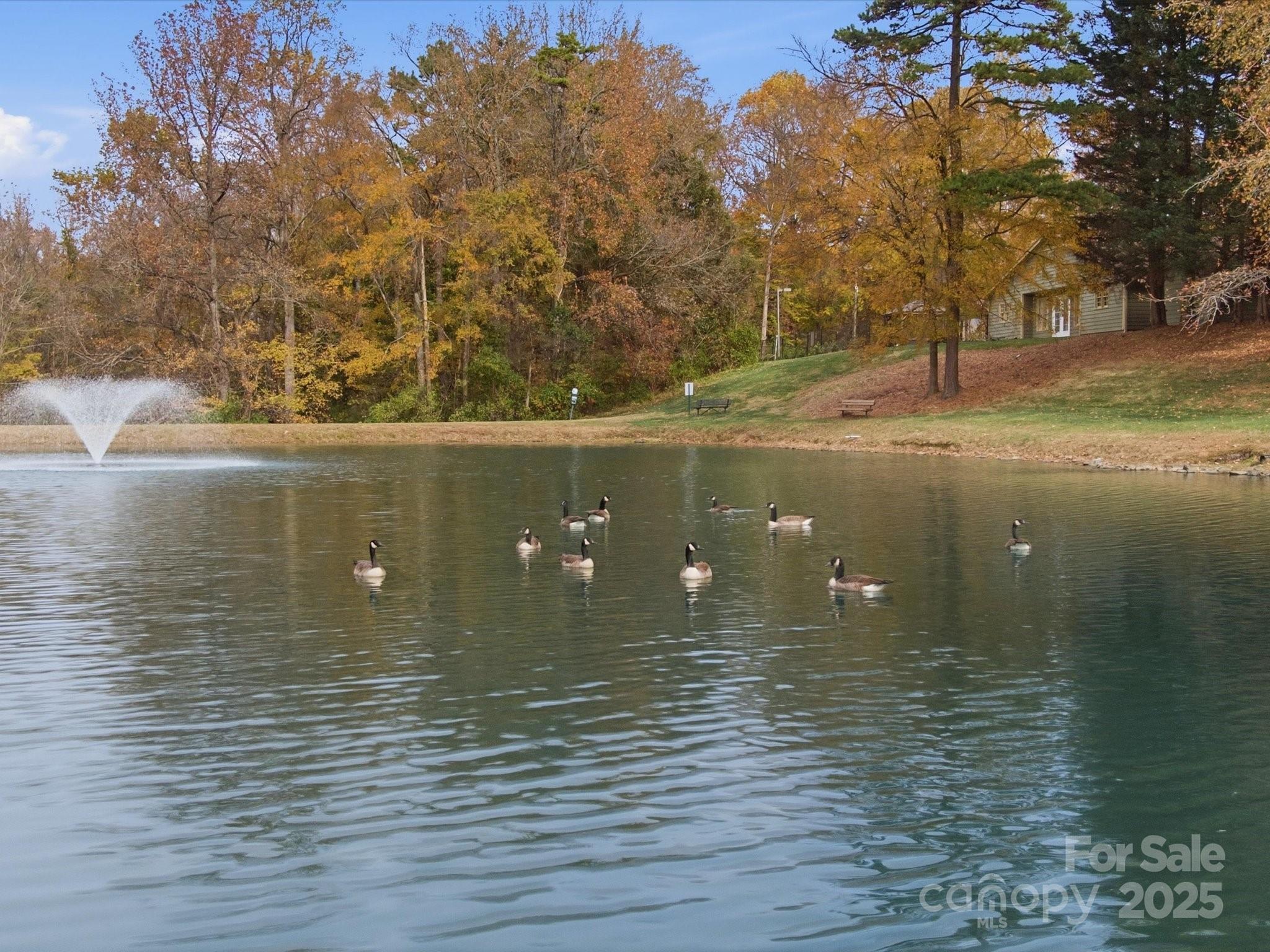 3909 Brownes Ferry Road Charlotte, NC 28269 - Photo 40 of 47