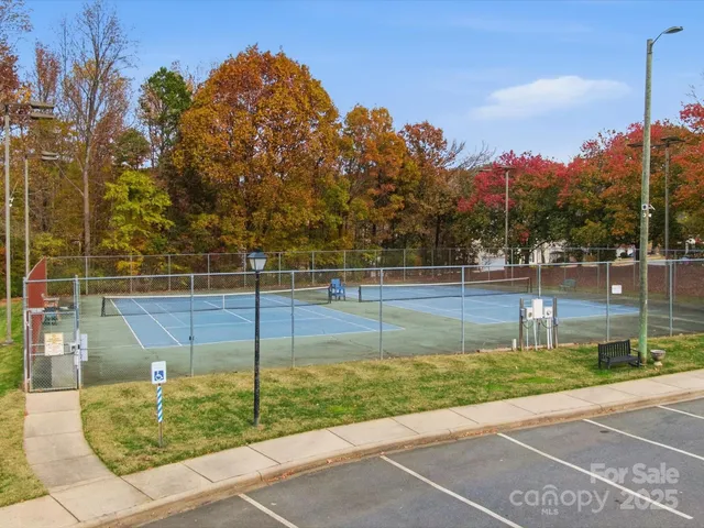 a view of street with large trees