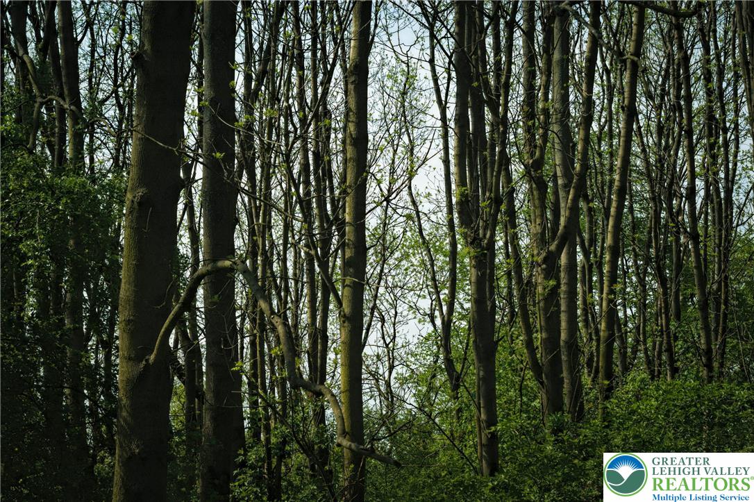 0 Main Street Slatington, PA 18080 - Photo 2 of 12 a view of outdoor space with lots of trees