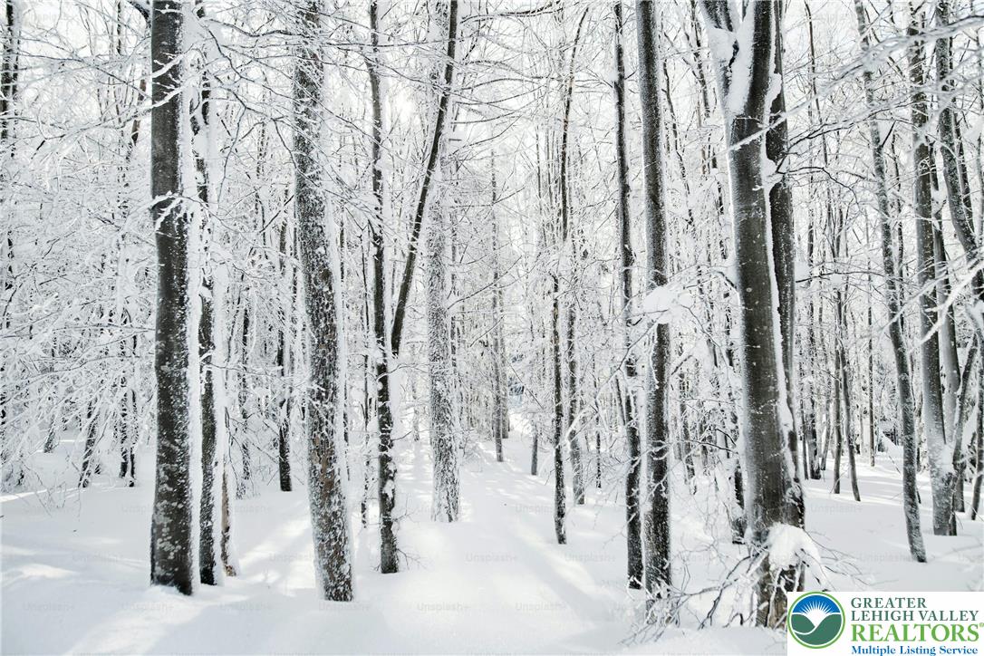 0 Main Street Slatington, PA 18080 - Photo 6 of 12 a view of river covered with snow