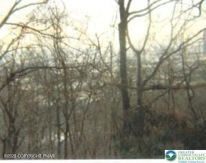 0 Main Street Slatington, PA 18080 - Photo 9 of 12 a view of tree