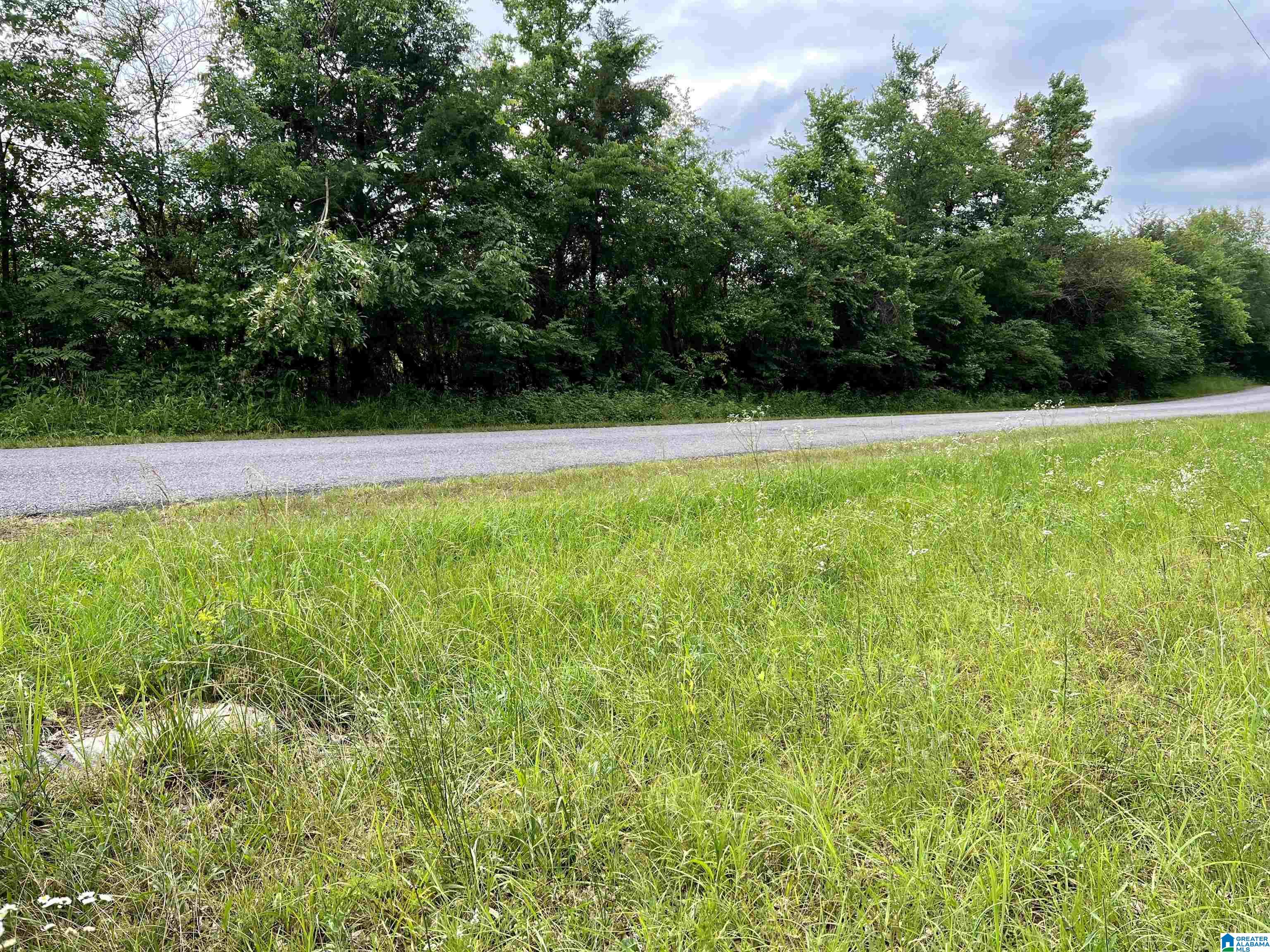 0 Fowler Springs Road, Unit 21 Blountsville, AL 35031 - Photo 22 of 24