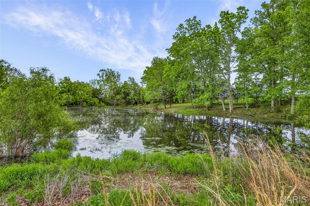 11697 John Emling Road Bismarck, MO 63624 - Photo 14 of 74