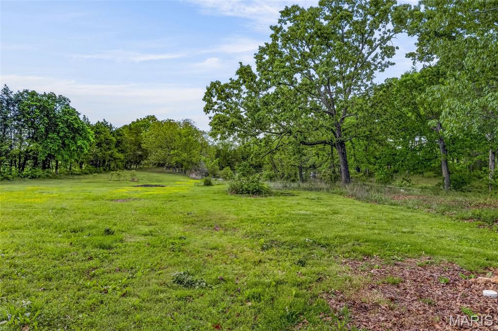 11697 John Emling Road Bismarck, MO 63624 - Photo 19 of 74