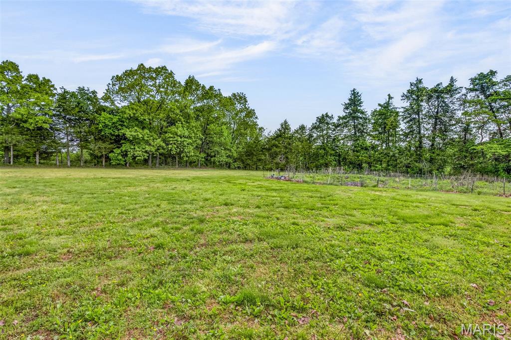 11697 John Emling Road Bismarck, MO 63624 - Photo 3 of 74