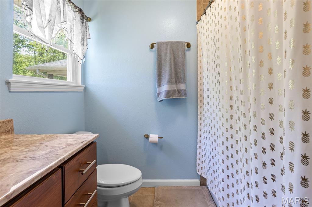 11697 John Emling Road Bismarck, MO 63624 - Photo 58 of 74