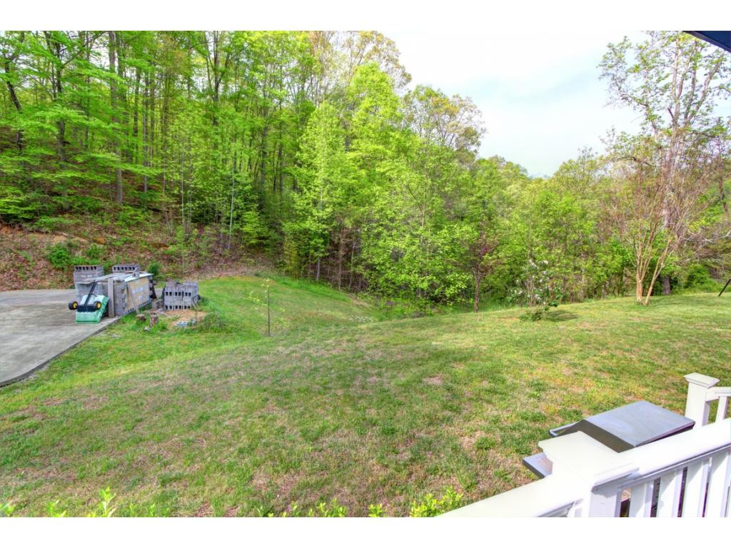 718 River Road Church Hill, TN 37642 - Photo 26 of 30 Photo 26