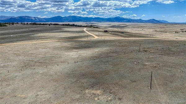 a view of a dry yard with lots of tree