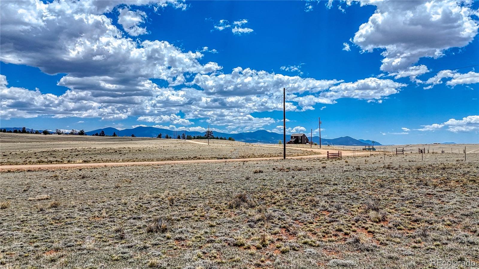 705 Rhyolite Drive Como, CO 80432 - Photo 6 of 19 a view of a room with a tree