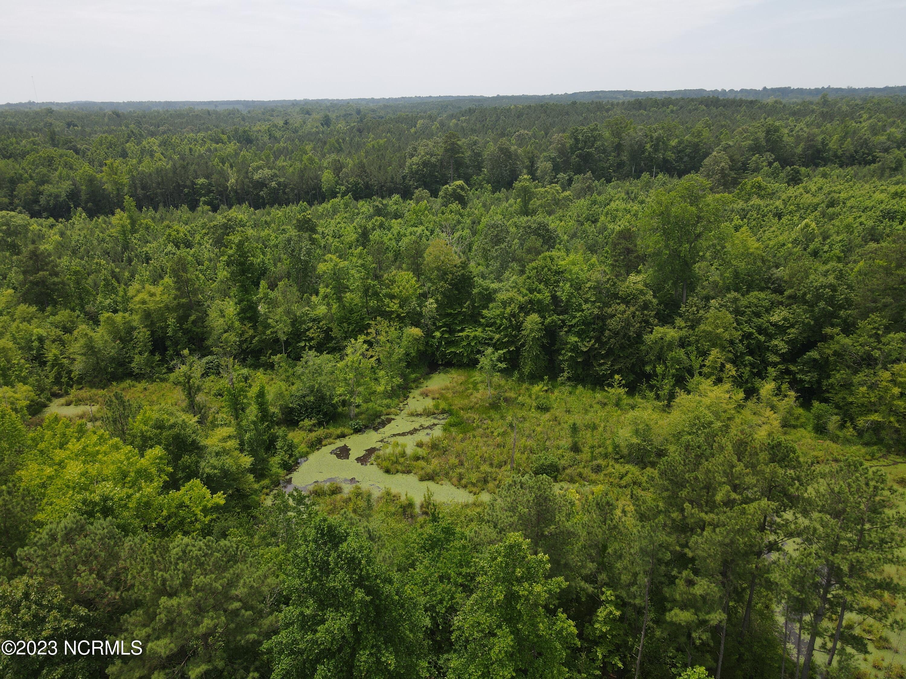 472 Eaton Ferry Road Littleton, NC 27850 - Photo 72 of 86 EFR 56