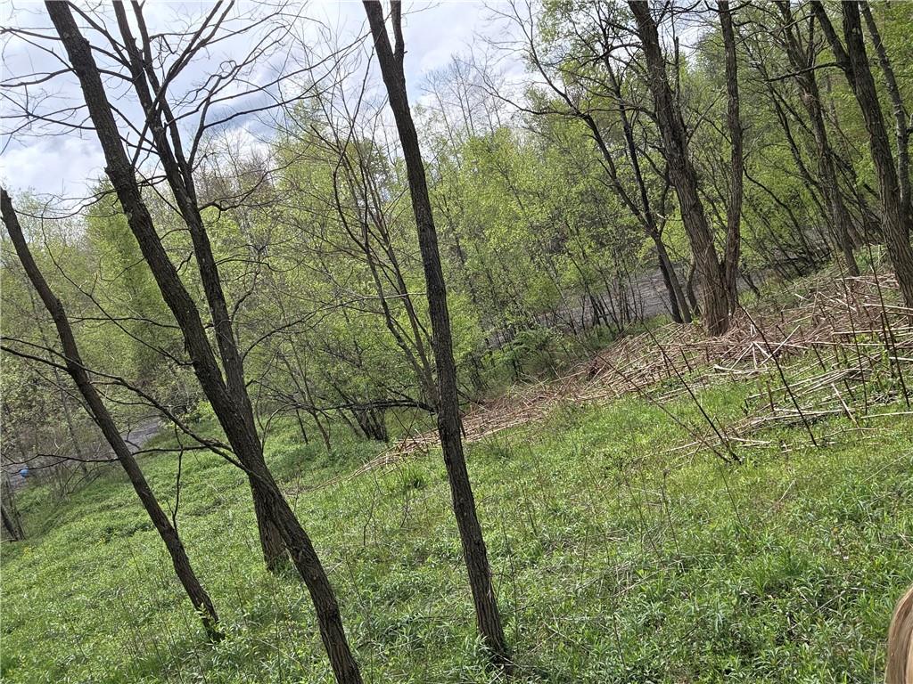 258 West Allen Road Polk, PA 16342 - Photo 16 of 19 a view of a yard