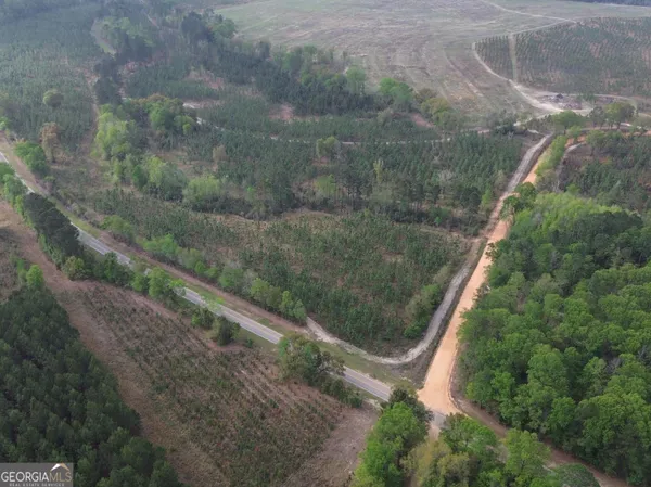 a view of a yard with a forest