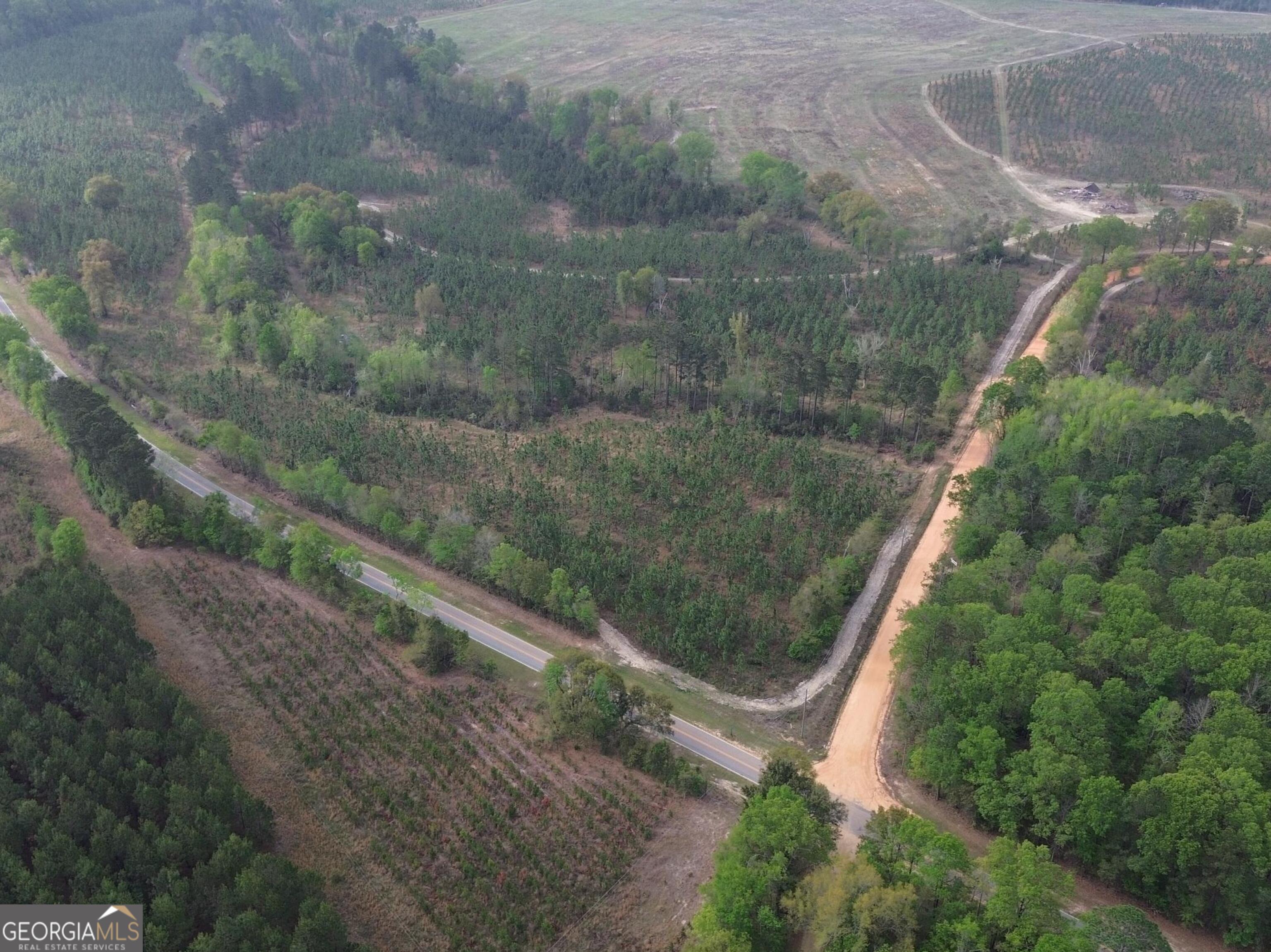 a view of a yard with a forest