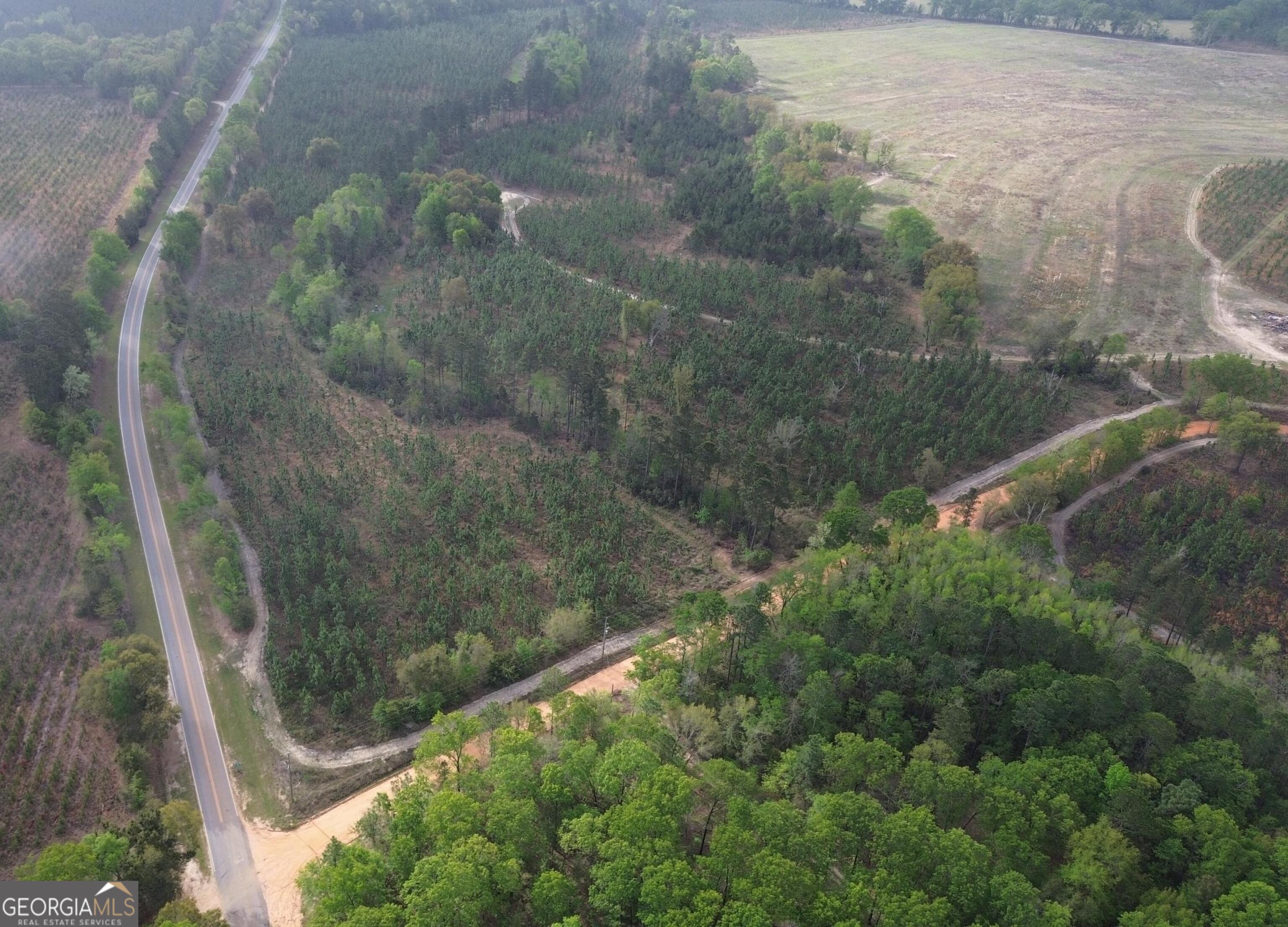 1 Old Poor Robin Road Sylvania, GA 30467 - Photo 2 of 11 a view of a small yard