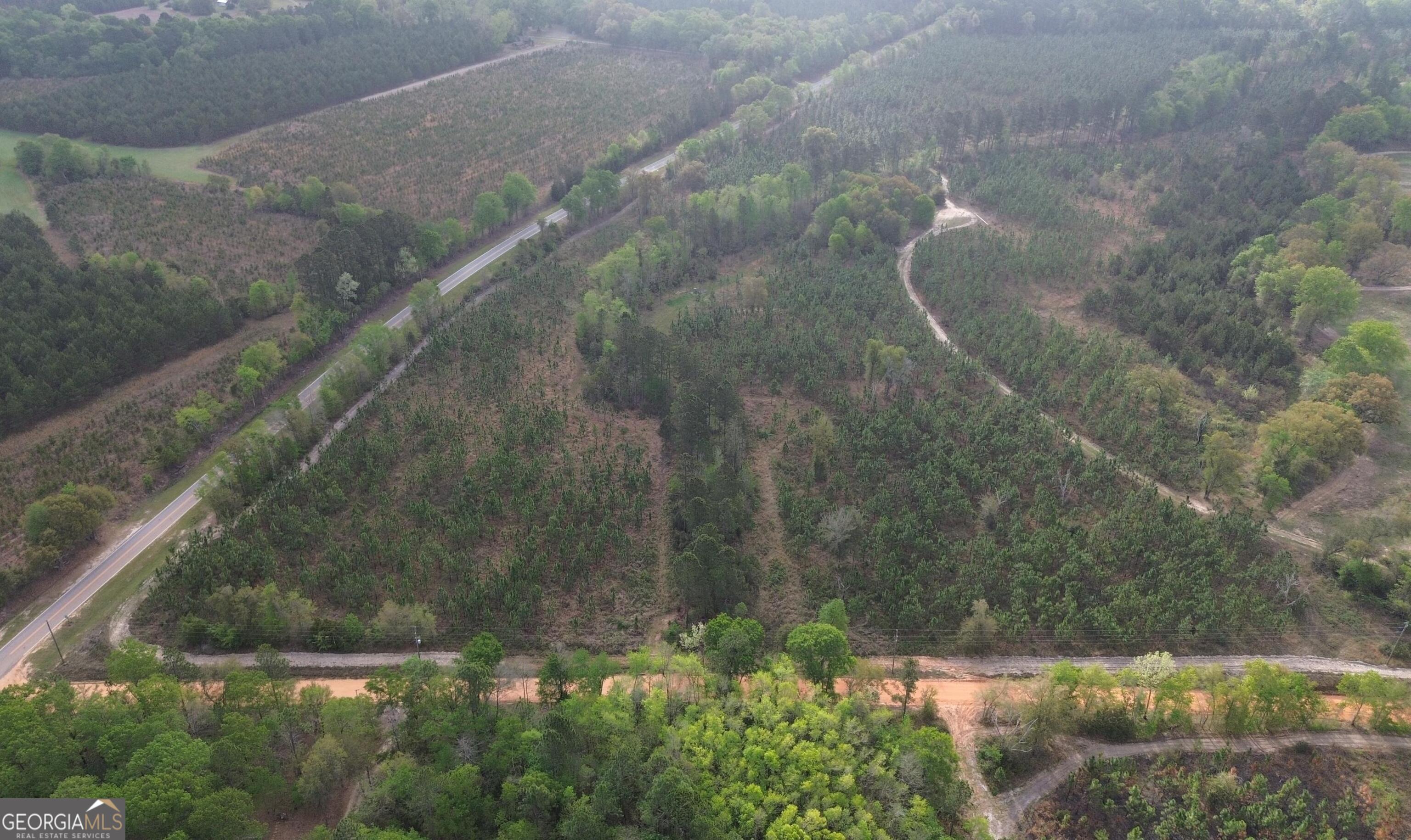 1 Old Poor Robin Road Sylvania, GA 30467 - Photo 3 of 11 a view of a lake