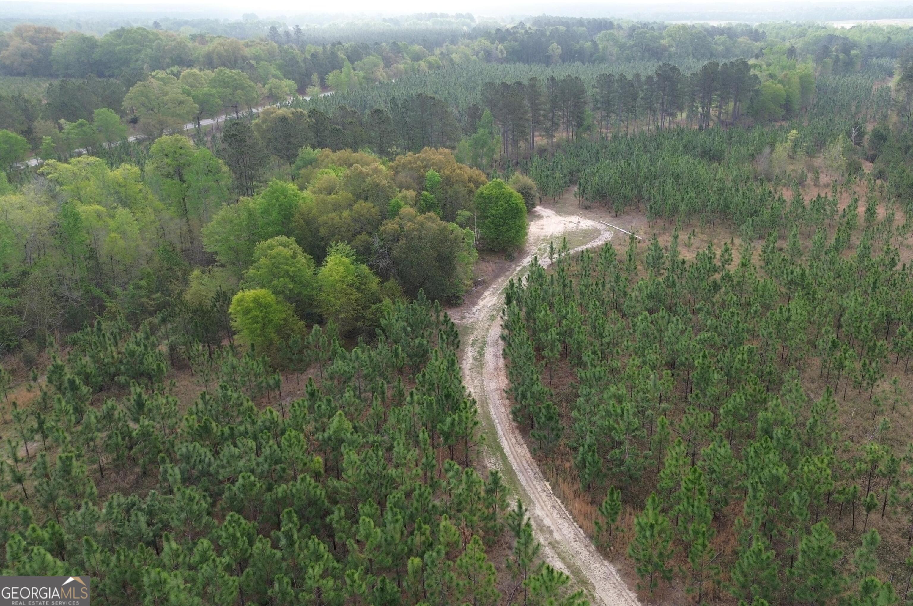 1 Old Poor Robin Road Sylvania, GA 30467 - Photo 6 of 11 a view of a lake from a balcony