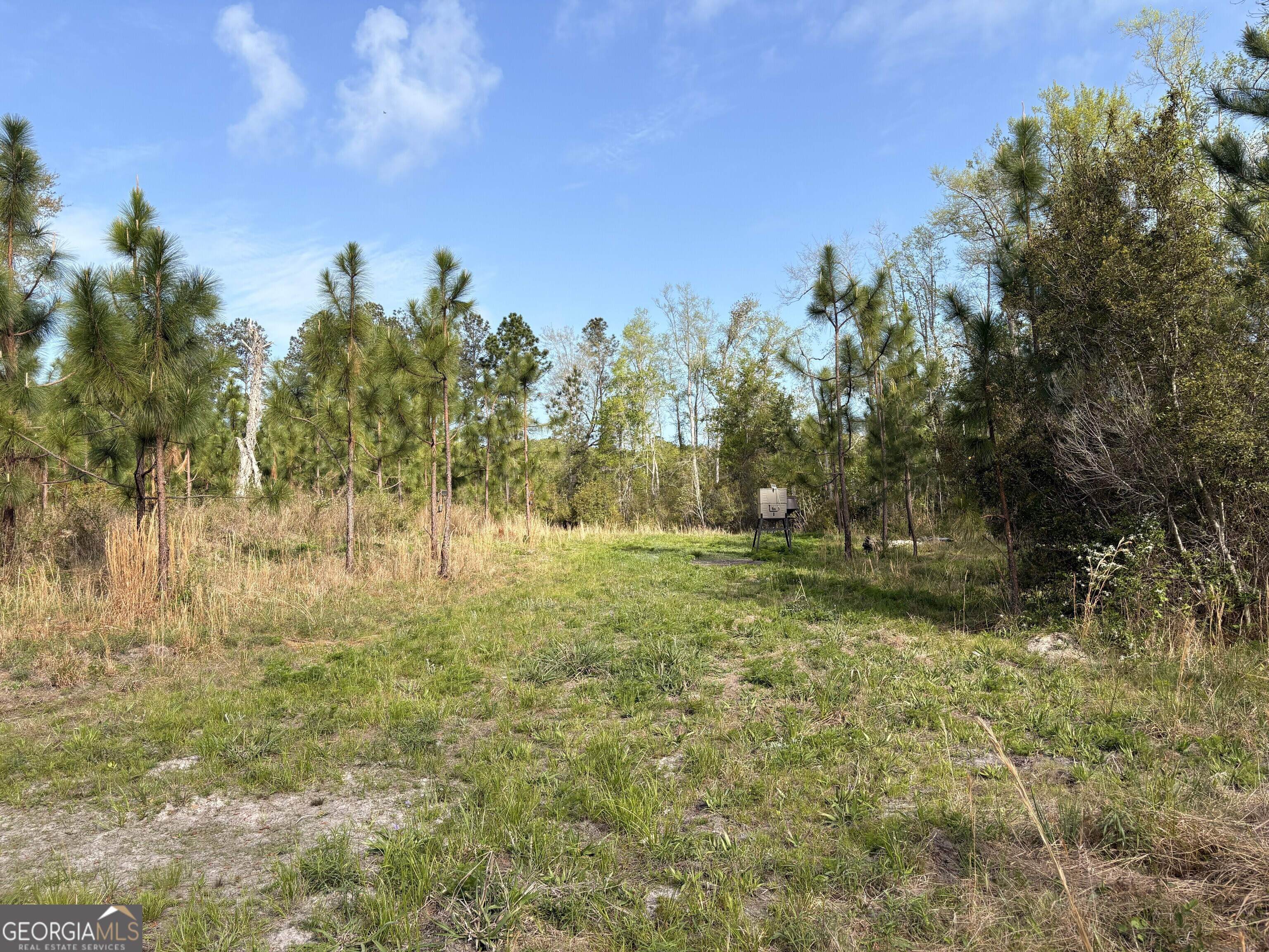 1 Old Poor Robin Road Sylvania, GA 30467 - Photo 7 of 11 a view of a field with trees in the background