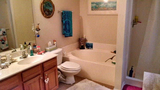 1325 Dominoe Trail Foley, AL 36535 - Photo 9 of 9 Master Bath